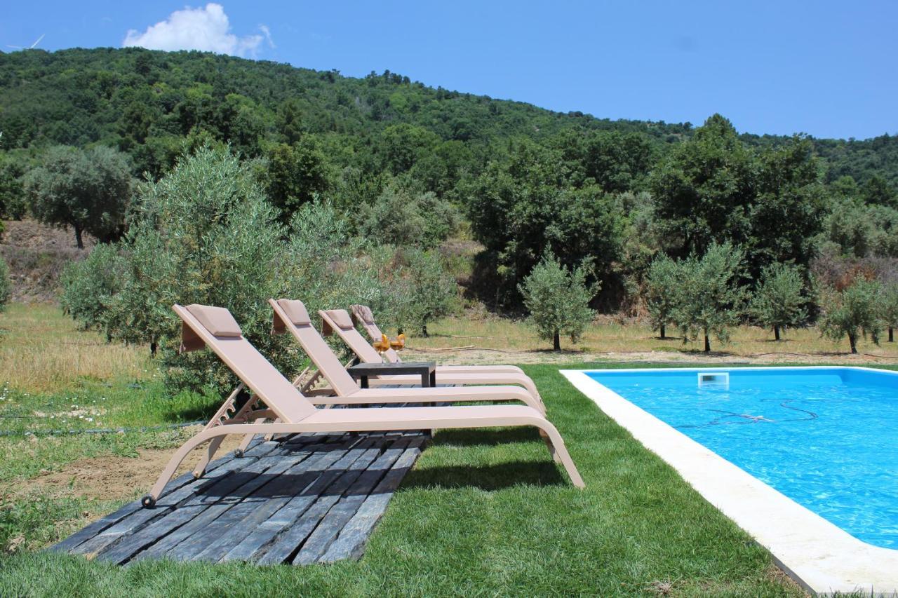 Casa Das Saras Villa Goncalo  ภายนอก รูปภาพ